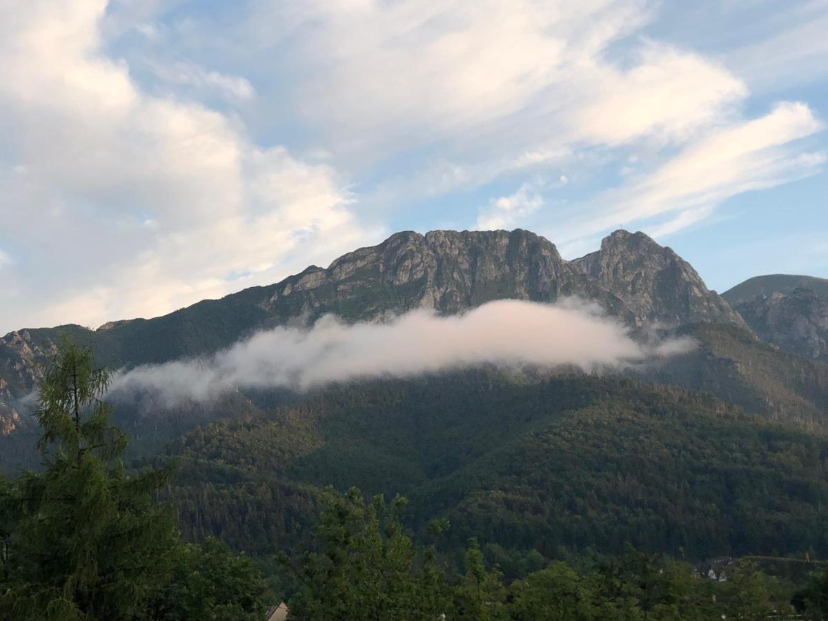Pod Wierchem Apartment Zakopane